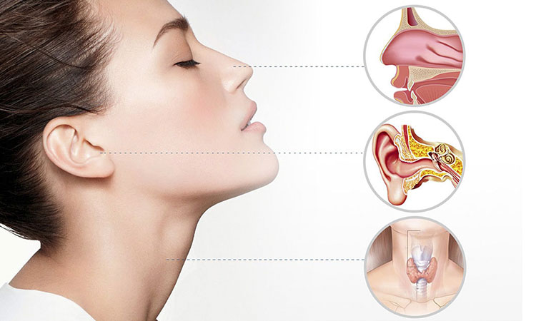 Kumar ENT Clinic Gallery Image